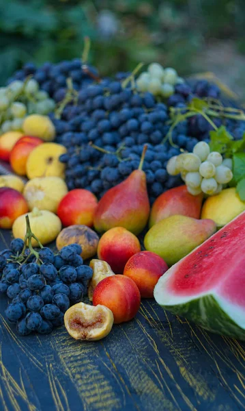 Winogrona Różne Owoce Rozłożone Planszy — Zdjęcie stockowe
