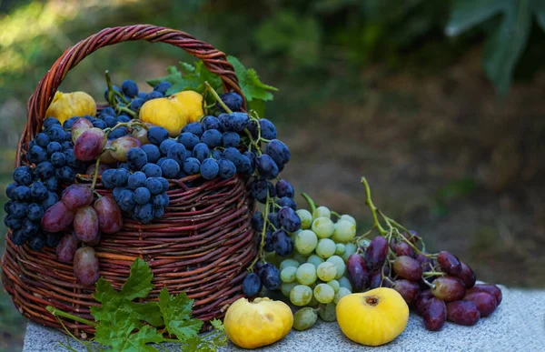バスケットにはさまざまなブドウや果物が置かれています — ストック写真