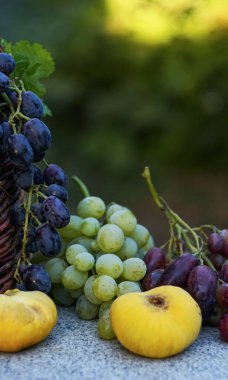                                Sepete çeşitli üzüm ve meyveler konur.