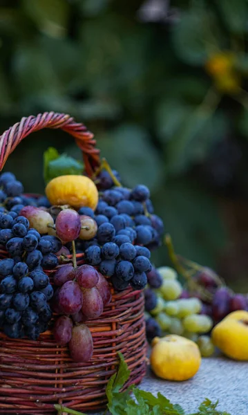 Verschiedene Trauben Und Früchte Werden Den Korb Gelegt — Stockfoto
