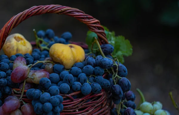 各种葡萄和水果都放在篮子里 — 图库照片