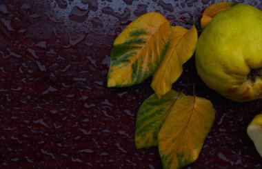                                Ayva ve yapraklar masanın üstünde, bir damla su meyvenin üzerinde.