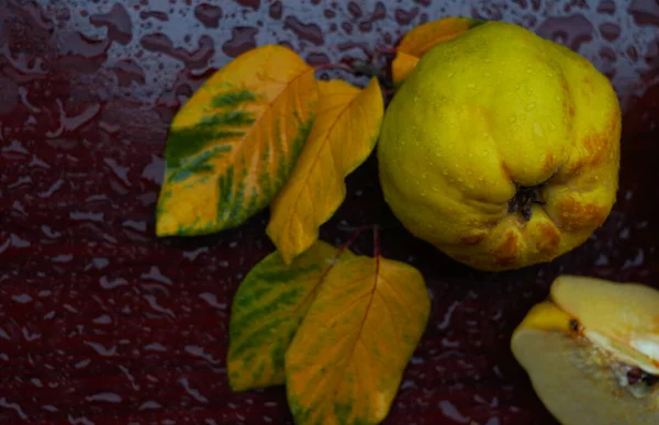 Quince Leaves Table Drop Water Fruit — Stock Photo, Image