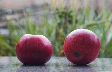                                Bir damla suyu olan parlak kırmızı bir elma.