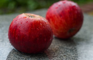                                Bir damla suyu olan parlak kırmızı bir elma.