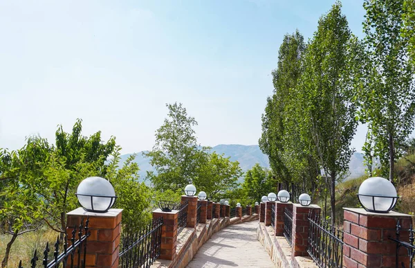                                Ağaçların altında beton bir merdiven var.    