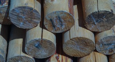                                Yuvarlak tahta direkler yerde duruyor.