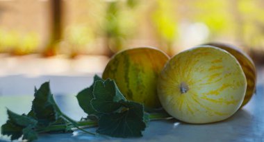                                      Masada yuvarlak kavunlar var.