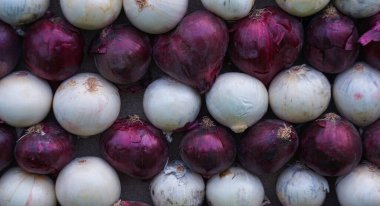 Birçok kırmızı ve beyaz soğan yan yana durur.