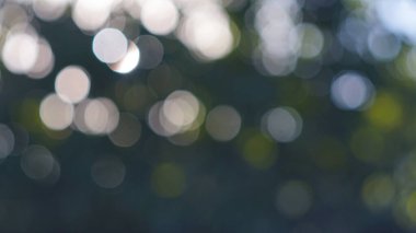                               Yeşil bokeh arka plan dokusu 