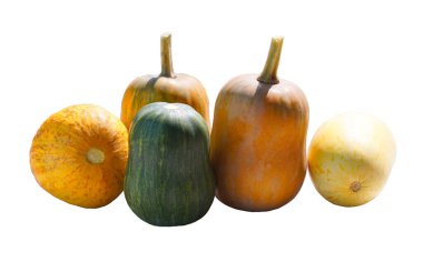 Beyaz arka planda yeşil yapraklı çeşitli balkabakları