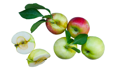 Beyaz arka planda mavi ve kırmızı elmalar var.