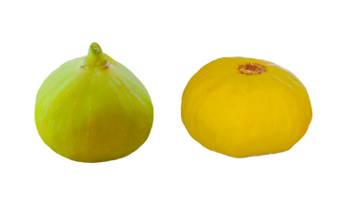 Beyaz bir arkaplanda kesilmiş büyük sarı bir incir.