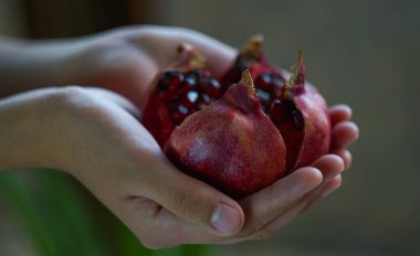                                Bir kız avucunda büyük bir nar tutar..