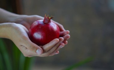                                Bir kız avucunda büyük bir nar tutar..