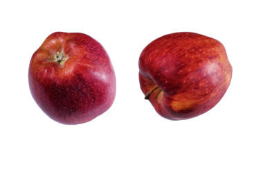 Beyaz arkaplanda iki kırmızı elma
