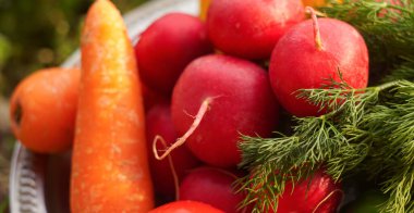                                                               Domates, salatalık, yeşillik ve diğer sebzeler doğanın kucağında çimenlerde yetişir..