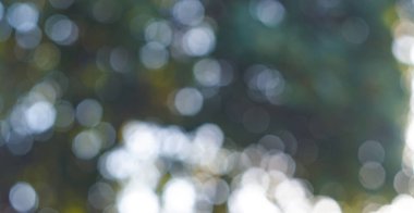                                        Güneş ışınları yeşil bir bokeh arka planına düşer    