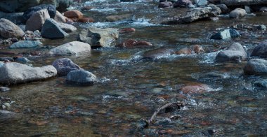                                Bir dağ deresindeki büyük bir kayanın sudan çıktığı görüldü..
