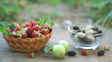 Doğanın kucağında çilek, dut ve diğer meyveler