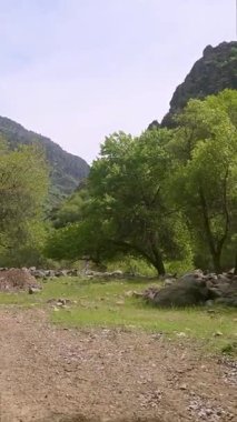 Dağdan akan su dağ yolunda görülebilir..