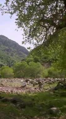 Dağdan akan su dağ yolunda görülebilir..