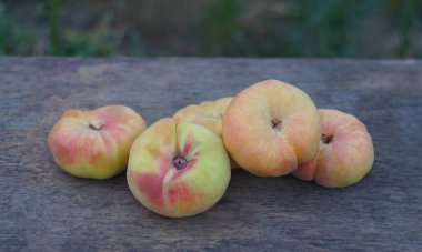                                Tahtaya bir sürü şeftali serpilmiş..