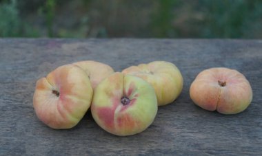                       Tahtaya bir sürü şeftali serpilmiş..         