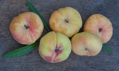                      Tahtaya bir sürü şeftali serpilmiş..                       