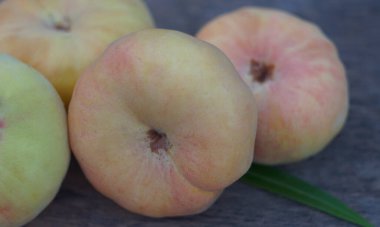                                     Tahtaya bir sürü şeftali serpilmiş..   