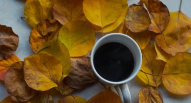                                Yerde yatan sarı yaprakların arasında sıcak kahve.