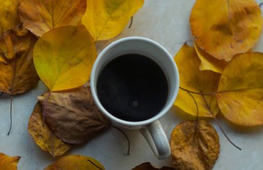                                Yerde yatan sarı yaprakların arasında sıcak kahve.