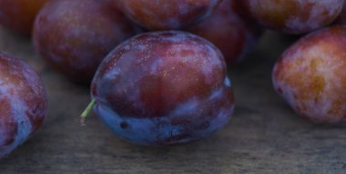                                Olgun büyük erikler masaya saçılmış..