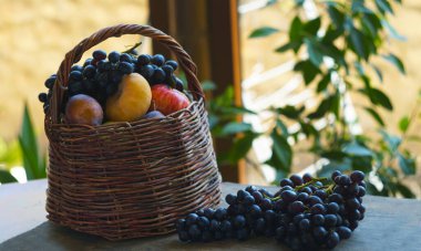 Pencerenin önünde üzümler ve sepette çeşitli meyveler var..