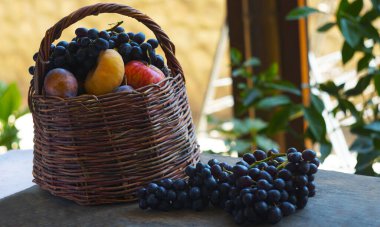                                Pencerenin önünde üzümler ve sepette çeşitli meyveler var..
