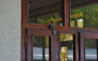                                Beyaz bir kuş evin içinde uçuyor..