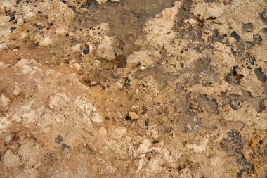 Atlantik Okyanusu 'nun kayalık deniz kıyıları bir zemin olarak