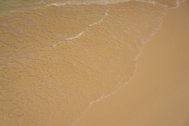 Meksika 'daki Karayip sahillerinde köpüklü dalgalar