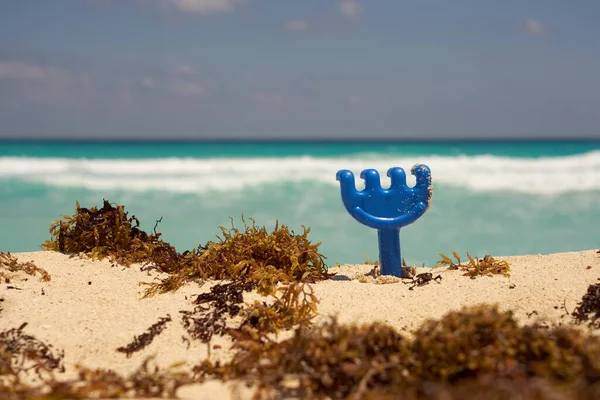 Plastik Tırmıklar Tropikal Plajda Kumda Yaklaş — Stok fotoğraf