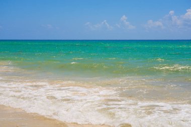 Meksika 'daki Karayip sahillerinde köpüklü dalgalar