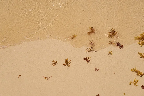 Мокрый Песок Пляже Рисунком Ветра Качестве Фона — стоковое фото