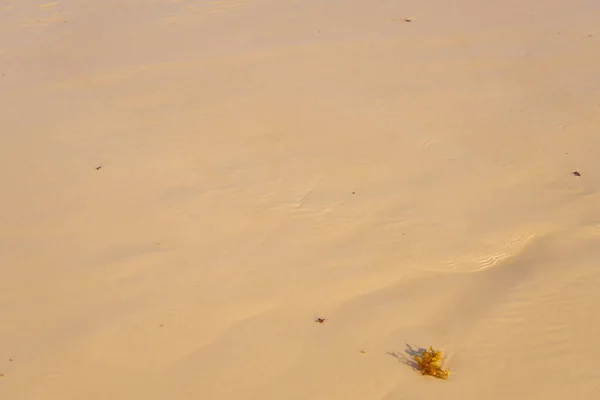 Άμμος Στην Έρημο Φόντο Ένα Μοτίβο Από Τον Άνεμο — Φωτογραφία Αρχείου