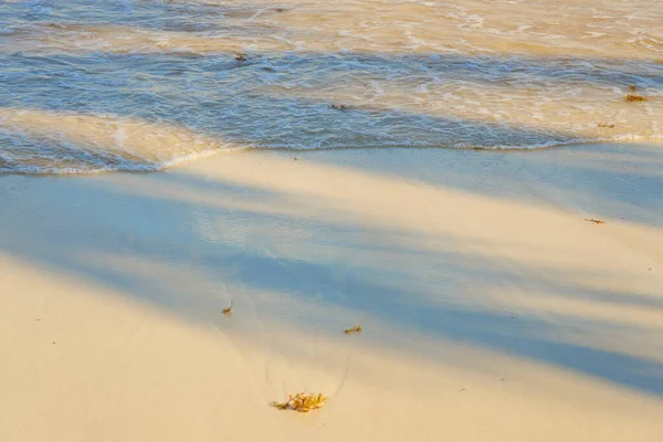 Σκιά Ενός Φοίνικα Μια Τροπική Παραλία Στην Καραϊβική Θάλασσα Στο — Φωτογραφία Αρχείου