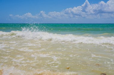 Meksika 'daki Karayip sahillerinde köpüklü dalgalar