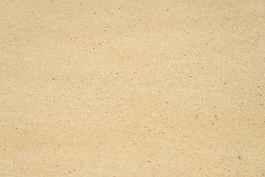 Sahilde ıslak kum ve rüzgarın bir deseni var.