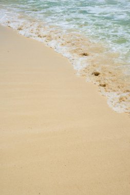 Meksika 'daki Karayip sahillerinde köpüklü dalgalar