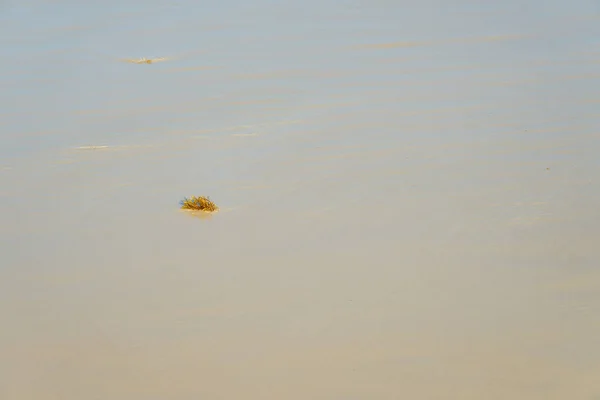 Çölde Kum Arka Planda Rüzgardan Bir Desen — Stok fotoğraf