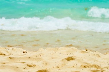 Meksika 'daki Karayipler kıyısındaki kumsal