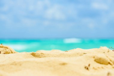 Meksika 'daki Karayipler kıyısındaki kumsal