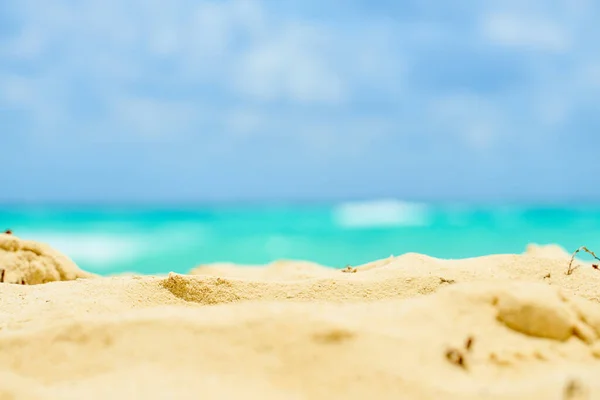 stock image Sandy beach on the Caribbean coast in Mexico